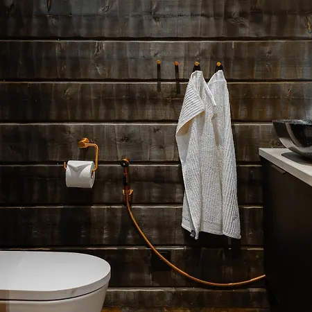 ヴィラ Aurora B Luxury *