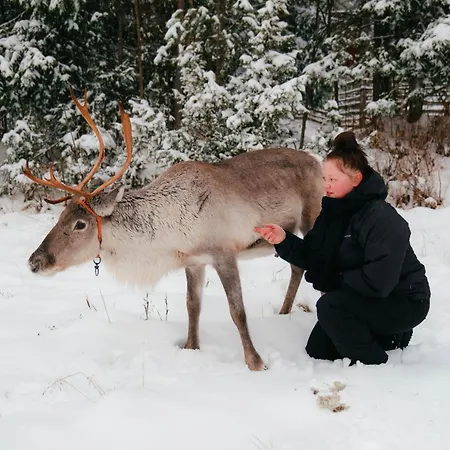 Aurora B Luxury Ruka