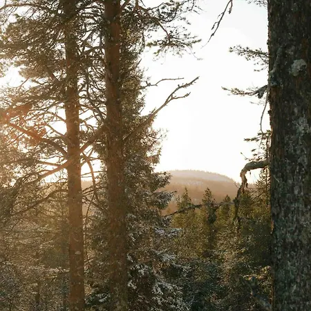 ヴィラ Aurora B Luxury ルカ